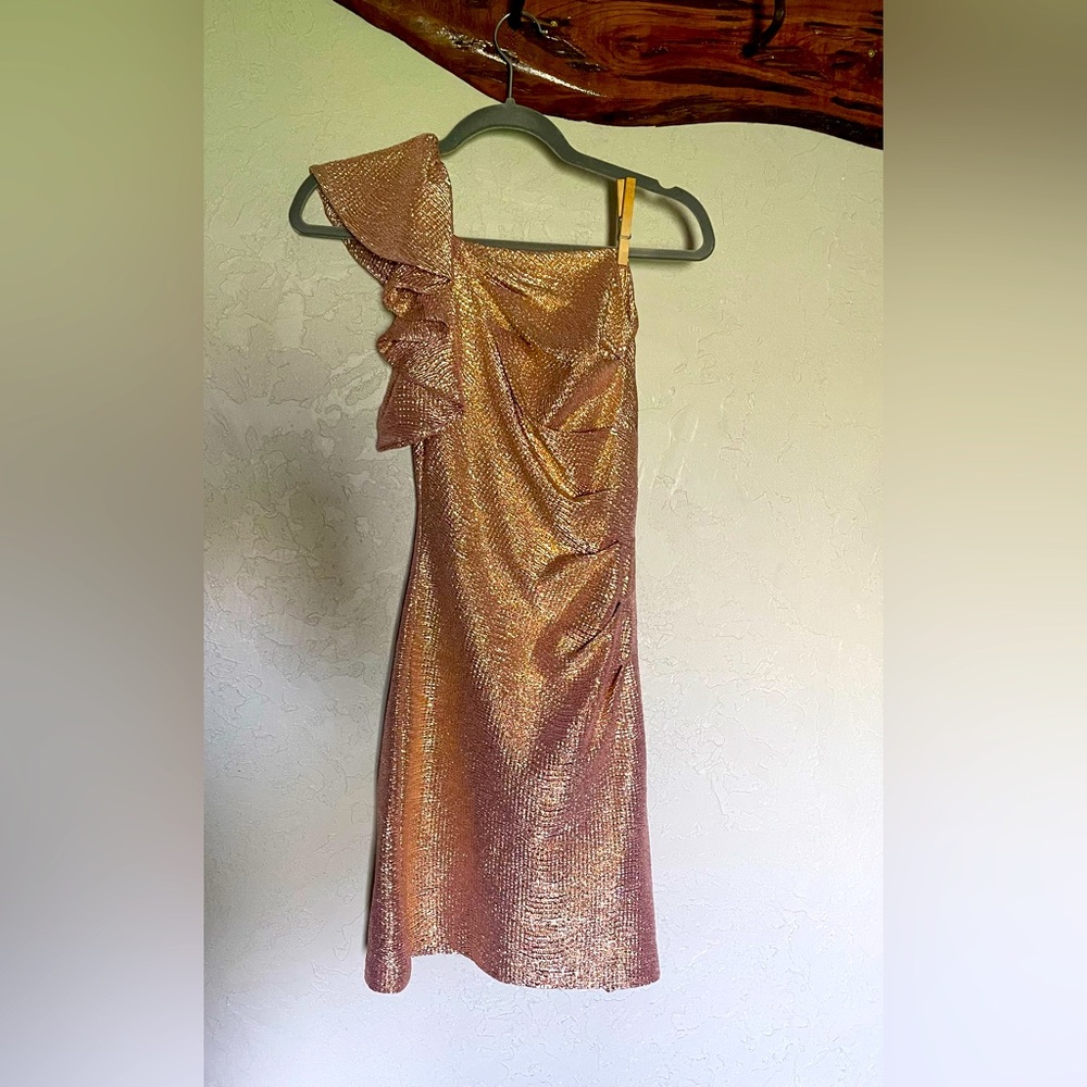 Hailey Logan /Adrianna Papell Asymmetrical Cocktail Dress worn once